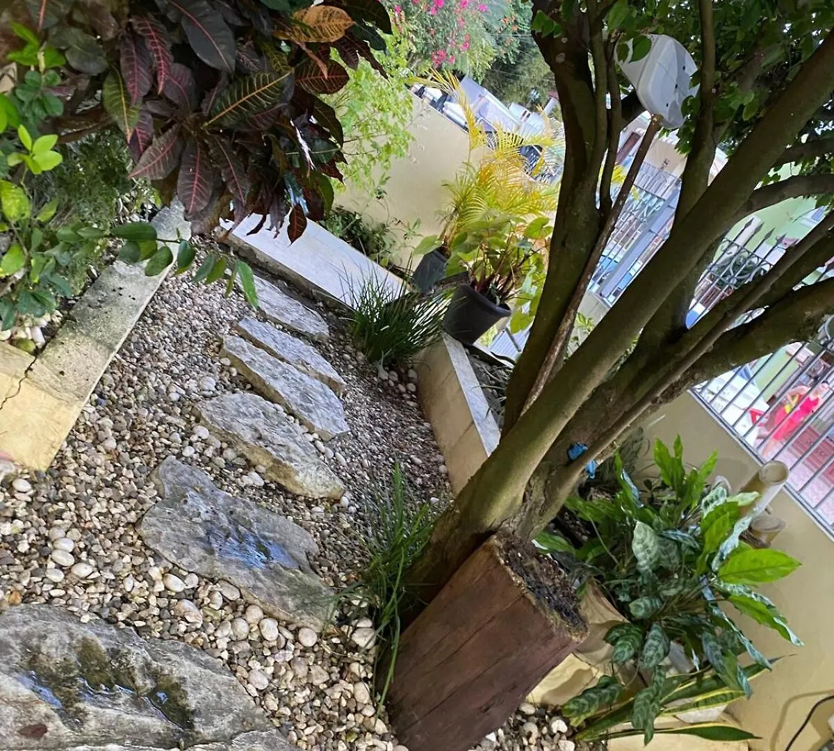 Apartamento Hermoso En El Centro De La Ciudad De Moca Apartment
